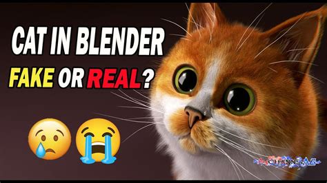 twitter kat in blender|Saw the cat in blender video cant get it out of my mind